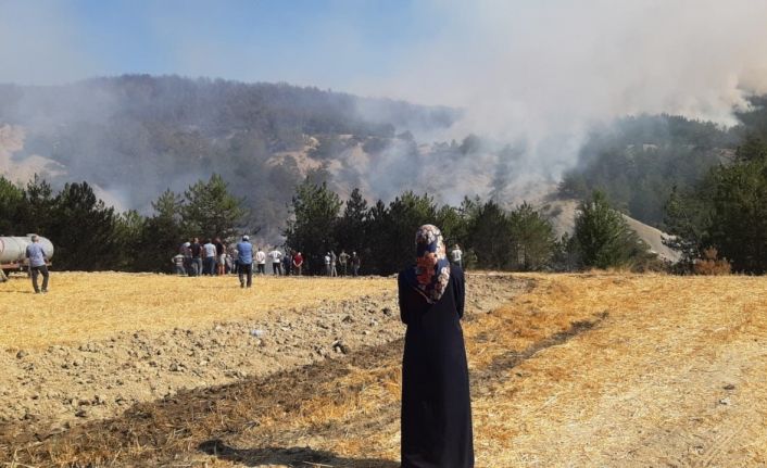 Bolu’daki orman yangını 5.saatinde