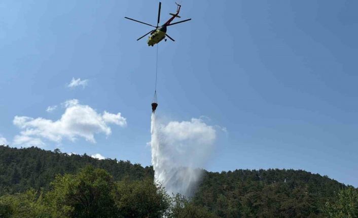 Bolu’daki orman yangını kısa sürede kontrol altına alındı