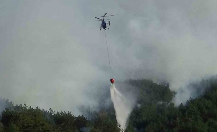 Bolu’daki orman yangını kısmen kontrol altında: 2 gözaltı