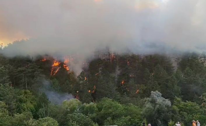 Bolu’daki orman yangını yayılıyor: 7 helikopterle havadan destek