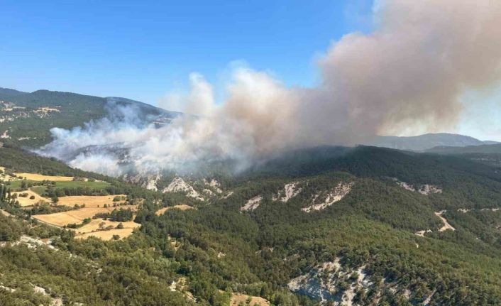 Bolu’daki orman yangınına müdahale sürüyor