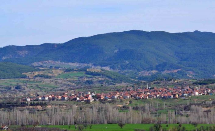 Bu köyde vatandaşlar sandık başına gitti