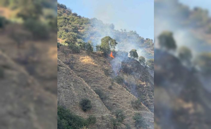 Buharkent’te orman yangını