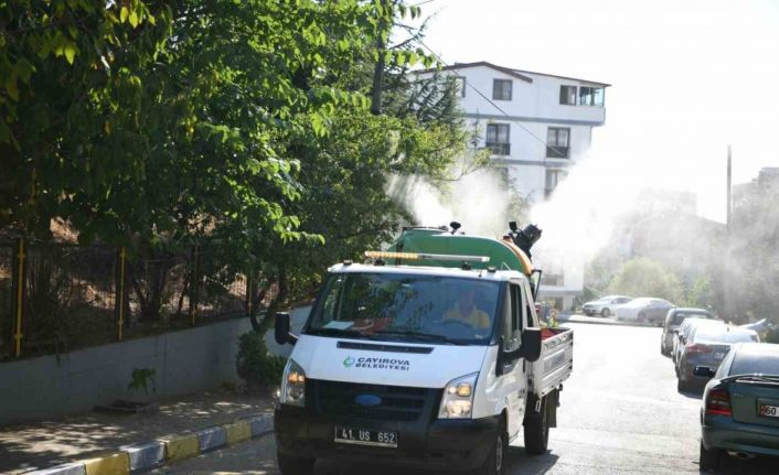 Bulaşıcı hastalıklara karşı ilaçlama yapılıyor