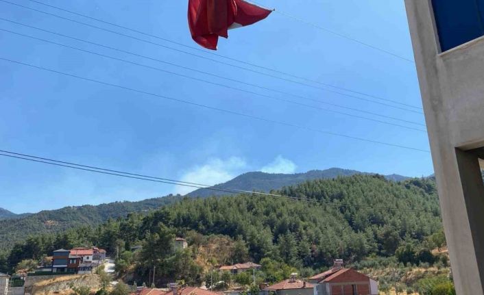 Buldan’da ormanlık alanda yangın çıktı