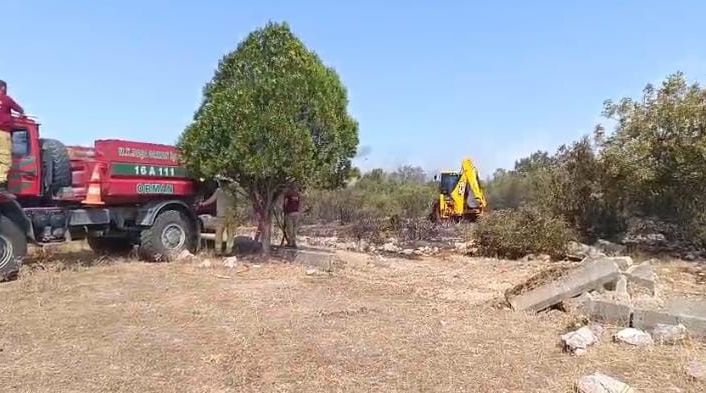 Bursa Nilüfer’deki orman yangını kontrol altına alındı