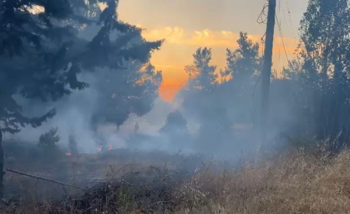 Bursa’da korkutan orman yangını