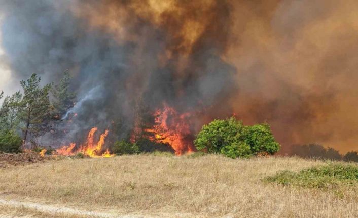 Bursa’da orman yangını kontrol altına alındı