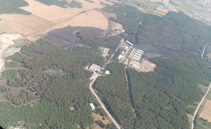 Bursa’da yanan alanlar hızla yeşillendirilecek