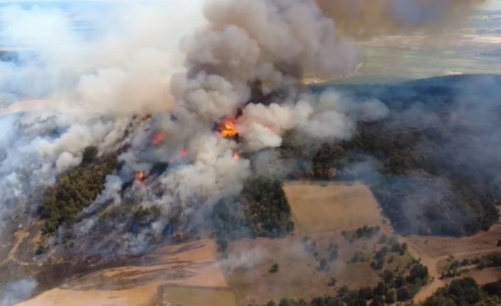 Bursa’daki orman yangınına 718 personel müdahale ediyor