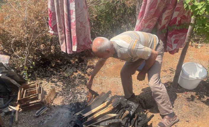 Bursa’daki yangında 300 kovan arı telef oldu