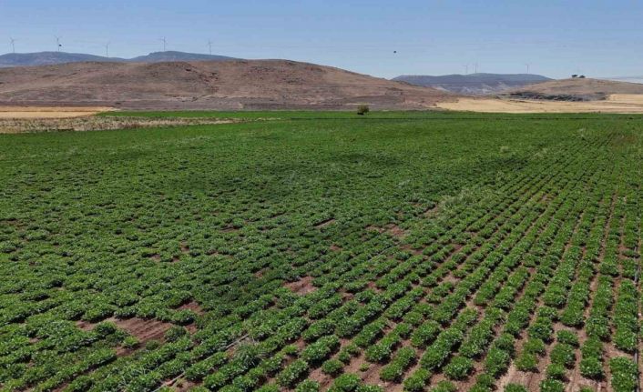 Büyükşehir, akıllı sulama sistemlerini Nurdağı ve İslahiye’de hayata geçirdi
