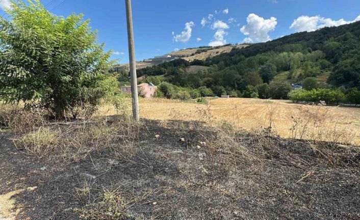 Çalılık alandaki yangın ormana sıçramadan söndürüldü