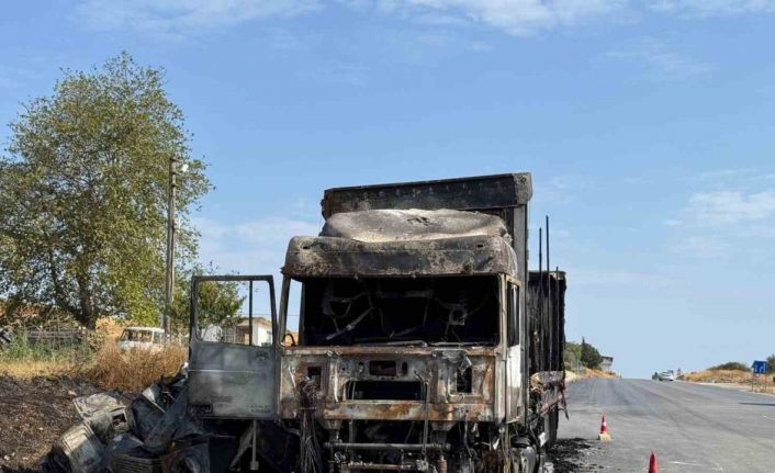 Çamaşır makinesi yüklü tır alev topuna döndü