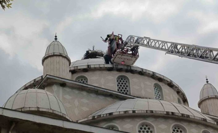 Cami kubbesinde mahsur kalan leyleği itfaiye kurtardı