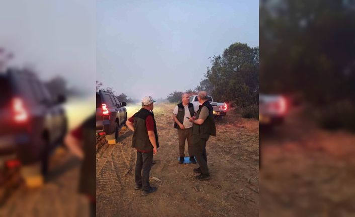 Çanakkale Valisi Toraman yangından etkilenen köyde incelemelerde bulundu