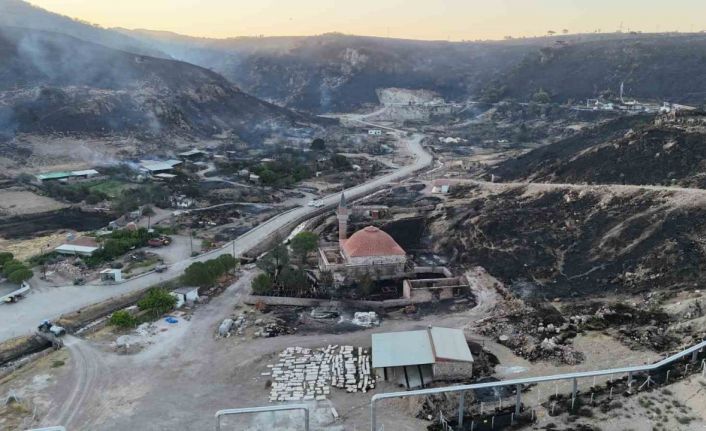 Çanakkale’de 4 köyün etkilendiği orman yangınını akli dengesi yerinde olmayan 2 kişinin çıkardığı belirlendi