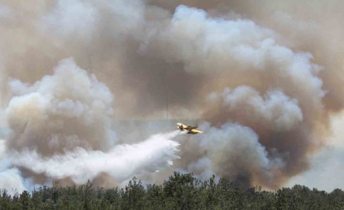 Çanakkale’de alevler yeniden yükseldi, havadan karadan müdahale sürüyor