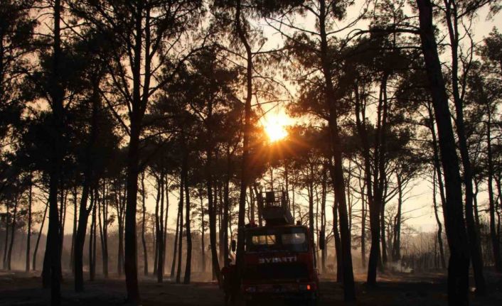 Çanakkale’de devam eden yangında 3 köy boşaltıldı