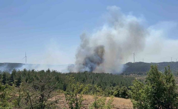 Çanakkale’de orman yangını