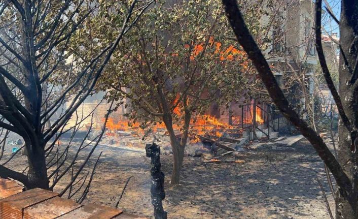 Çanakkale’de orman yangını devam ediyor