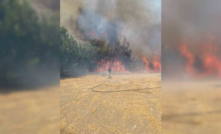 Çanakkale’de orman yangınına havadan ve karadan müdahale ediliyor