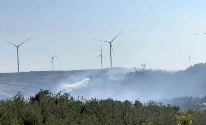 Çanakkale’de orman yangınına müdahale kapasitesi arttırıldı
