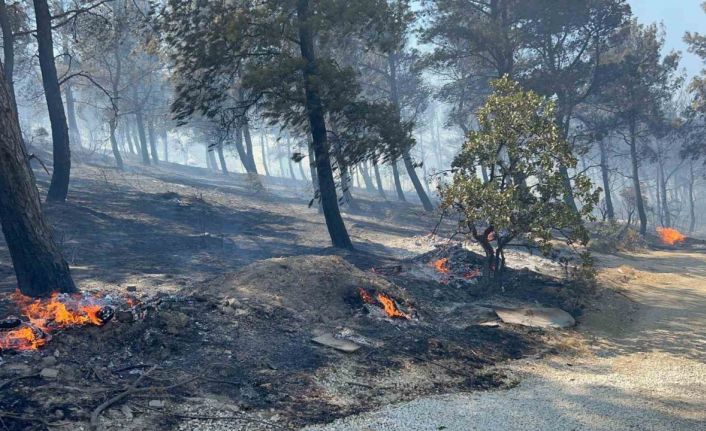 Çanakkale’de ormanlık alana sıçrayan yangında villalar yandı