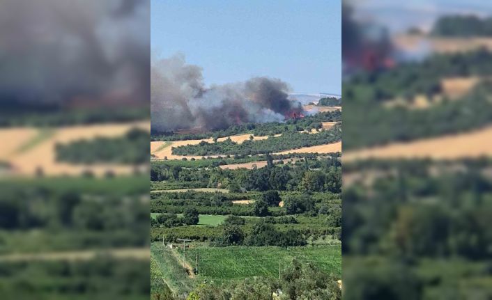 Çanakkale’de tarım arazisinde başlayan yangın ormanlık alana sıçradı