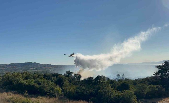 Çanakkale’de tarım arazisinde başlayarak ormanlık alana sıçrayan yangın kontrol altına alındı