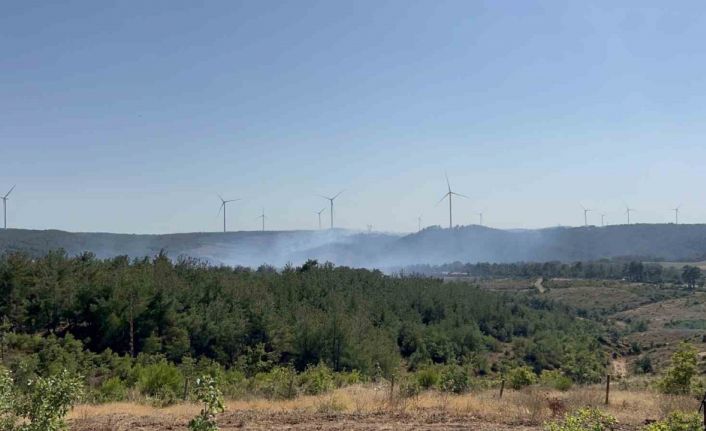 Çanakkale’deki orman yangını kontrol altında