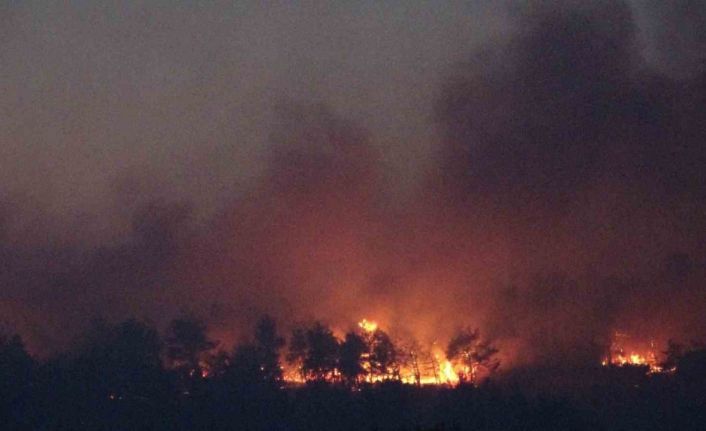 Çanakkale’deki orman yangınına karadan müdahale devam ediyor