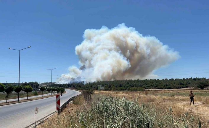 Çanakkale’deki yangında tedbir amaçlı Güzelyalı bölgesindeki vatandaşlar tahliye ediliyor