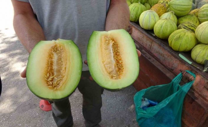 Çankırı tuzu bu kavunun tadına tat katıyor