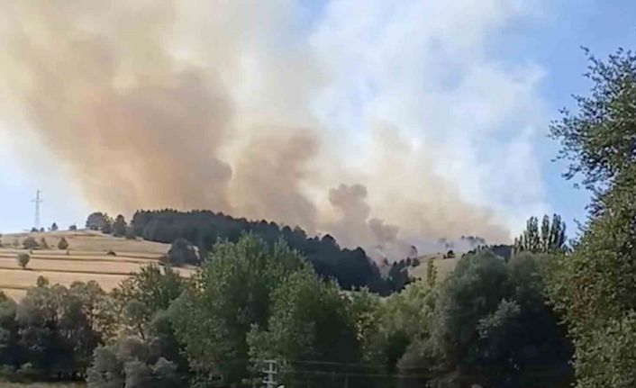 Çankırı’da orman yangını