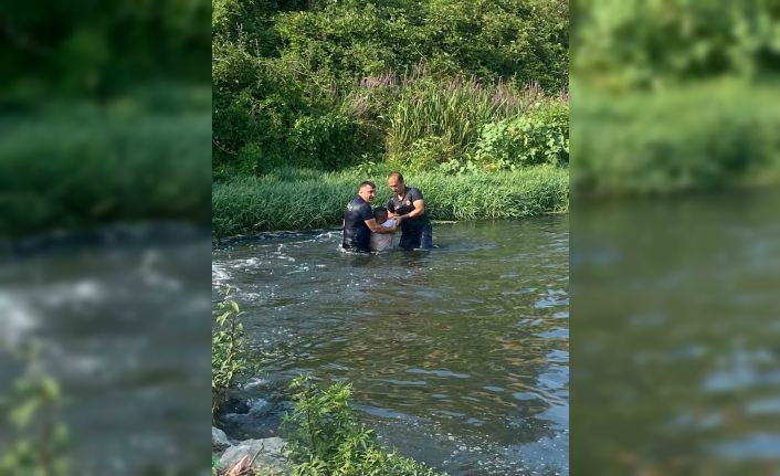 Çaya atlayan şahsı ekipler son anda kurtardı