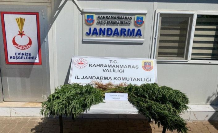 Çeşitli suçlardan yakalanan 14 şüpheli tutuklandı