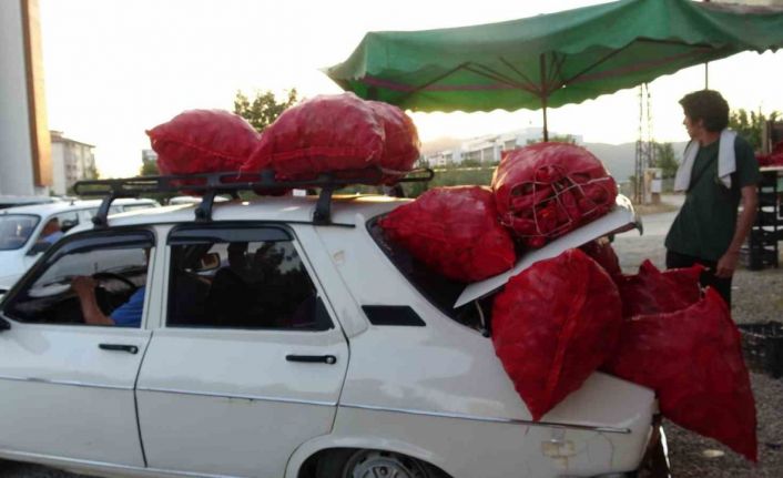 Çiftçilerin zorlu biber mesaisi