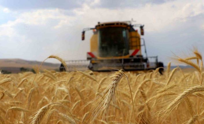 ÇKS başvuruları 1 Eylül’de başlıyor