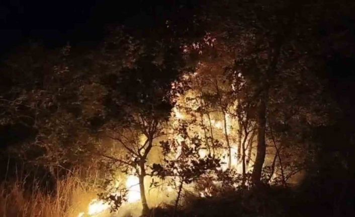 Çöplükte başlayan yangın araziye sıçradı