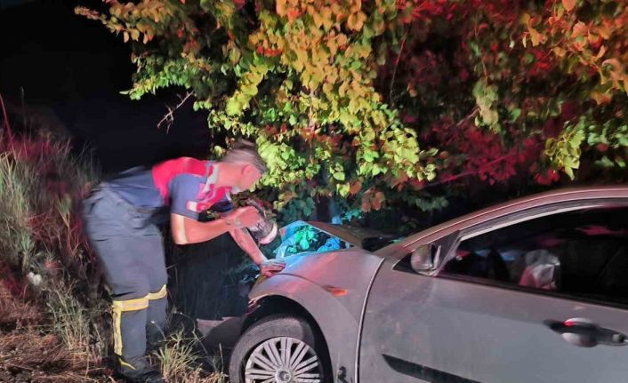 Çorum’da kontrolden çıkan otomobil ağaca çarptı: 2 yaralı