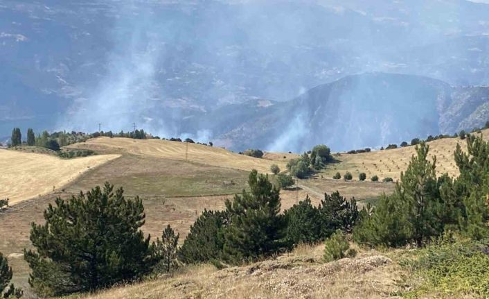 Çorum’da orman yangını