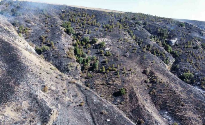 Çorum’daki orman yangını kontrol altına alındı