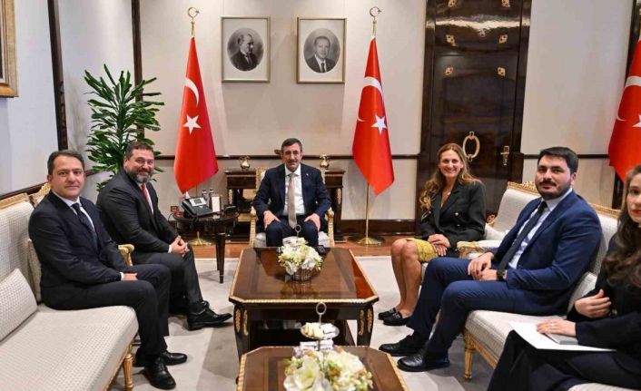 Cumhurbaşkanı Yardımcısı Yılmaz, Kaspi.kz CEO’su ve Hepsiburada Yönetim Kurulu Başkanı Mikheil Lomtadze’yi kabul etti