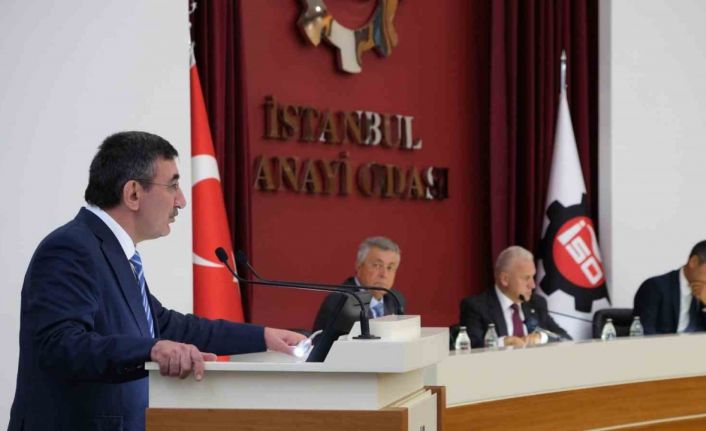 Cumhurbaşkanı Yardımcısı Yılmaz: ‘‘OVP güncellenmesi sürüyor’’