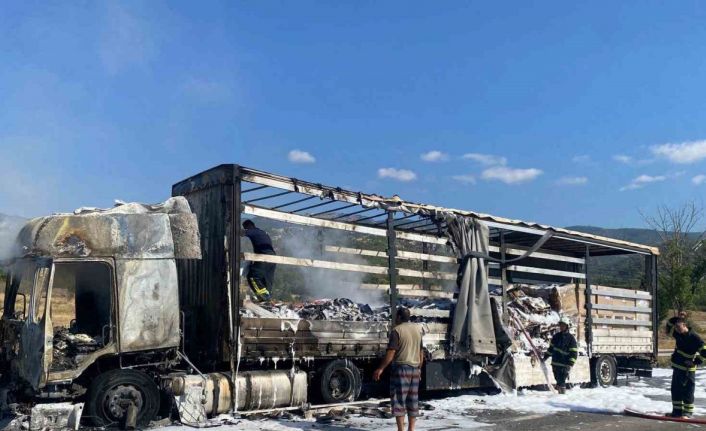 D100’de seyir halindeki tır alev alev yandı