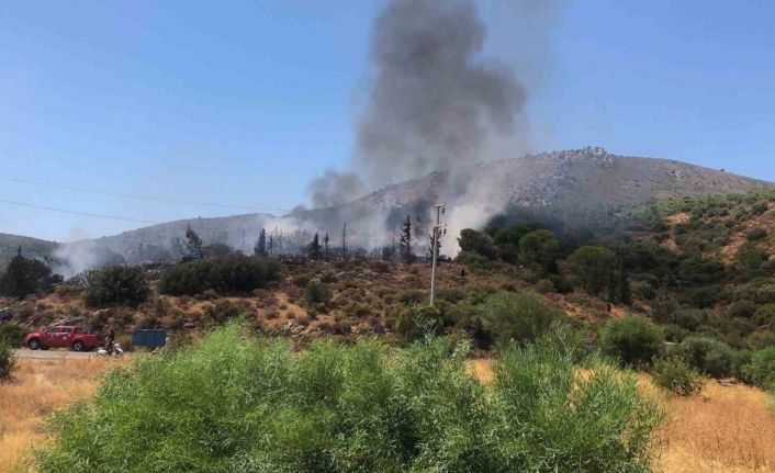 Datça’da makilik yangını