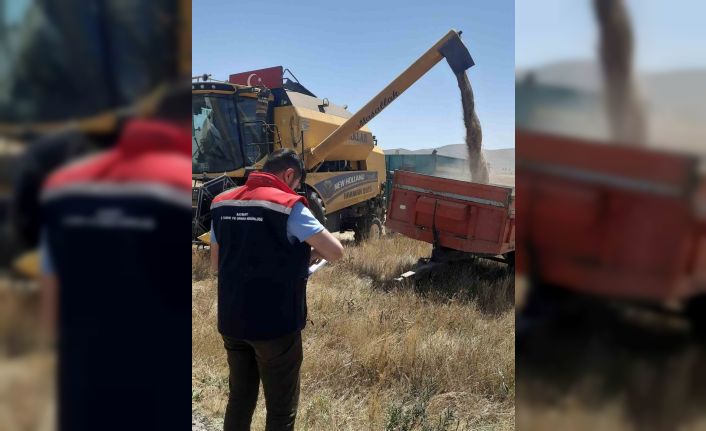 Demirözü’nde biçerdöver kontrolleri sürüyor