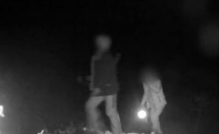 Denizli’de 3 kaçak avcı gece avında fotokapanla yakalandı