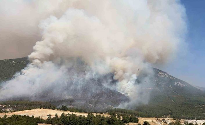 Denizli’de çıkan orman yangınını söndürme çalışmaları aralıksız devam ediyor